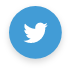 footer-twitter